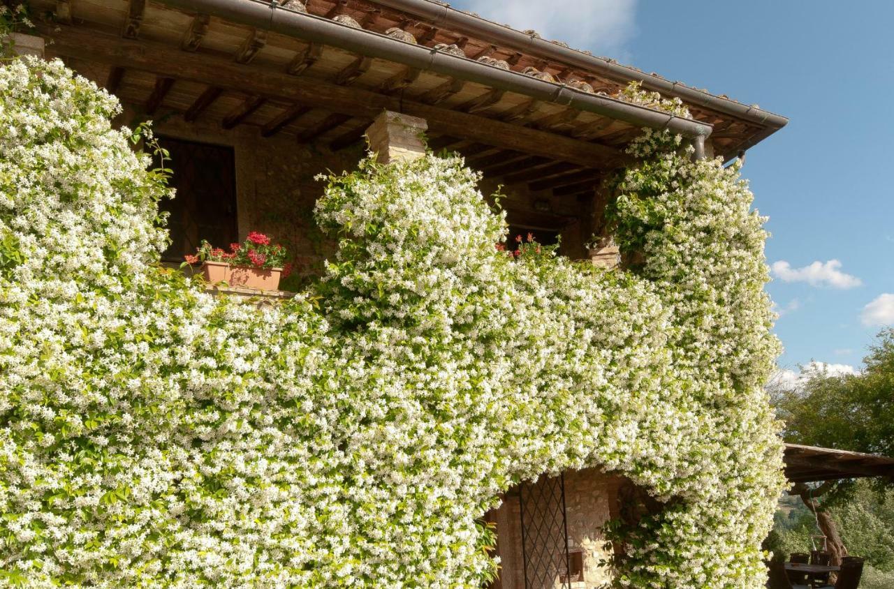 Novellina Villa Certaldo Dış mekan fotoğraf